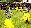 Bhutan, Dance in Festival